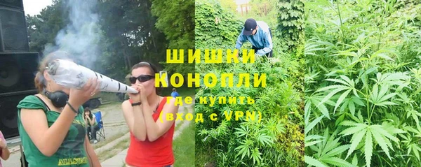 шишки Бородино